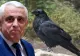 După ce a terminat cu cormoranii, Petre Daea declară acum război ciorilor