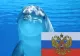 Rusia și-a dublat numărul de delfini militari. La ce intenționează Kremlinul să le folosească pe simpaticele mamifere marine
