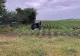O tânără a fost rănită după o depășire periculoasă. În accident, implicat și un șofer din Ucaina. Ce au descoperit polițiștii