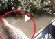 VIDEO - Imagini din concediu ca dintr-un film de groază - Ce au filmat niște turiști care se plimbau cu barca