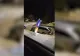 Șofer căzut cu mașina în groapă - imagini uluitoare din Craiova