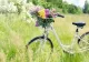 Prognoza meteo 1 iunie: instabilitate atmosferică, ploi și vijelii. Cum va fi vremea la munte și la mare
