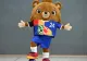 UEFA a prezentat mascota pentru EURO 2024. Ursul fotbalist nu are încă un nume, suporterii sunt invitați să îl „boteze”