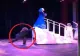 VIDEO - I-a tras rochia de pe ea chiar în timpul unui concert la care asistau sute de copii - Imaginile au devenit virale pe internet