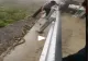 VIDEO – Pe marginea drumului erau zeci de șerpi. Un bărbat s-a dat jos din mașină și a început să…