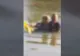 O femeie de 87 de ani a încercat să se sinucidă în râul Argeș - Doi polițiști au salvat-o în ultima clipă