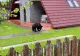 Gest incredibil al unei femei din Buzău. Curaj sau inconștiență? VIDEO