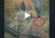 VIDEO – Mecanicul unei locomotive a filmat drumul de pe Valea Prahovei. Brusc i-a apărut ceva în cale - Clipul a devenit viral