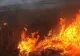Incendiu puternic în Parcul IOR din Capitală, în zona retrocedată - Intervenția urgentă a pompierilor