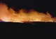 Incendiu de vegetație de proporții la Poarta Albă, în apropierea penitenciarului - Intervenție amplă a pompierilor constănțeni
