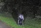 O nouă metodă de tâlhărie face ravagii. Sunt folosiți bebelușii! - Avertisment pentru populație