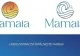 Agenţia care a propus pentru identitatea de brand a staţiunii Mamaia un logo cumpărat de pe internet nu va fi plătită