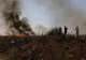Incendiu Măgurele - Un nou incendiu uriaș de vegetație a cuprins un câmp de lângă București