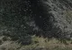 Viața off-grid. O familie a murit încercând să trăiască în munți, complet ruptă de lume! Rudă: Au murit de foame pentru că nu au fost pregătiţi