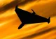 Purtătorul de cuvânt al MApN, informații-cheie despre dronele rusești: Atacă la înălțimi mici, radarele obțin imaginea foarte greu
