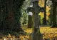 Misterul cadavrului găsit carbonizat în cimitir a fost dezlegat: cine este victima