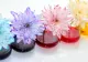 Metoda extraordinară prin care colorezi florile în mod natural. Ai nevoie să adaugi un singur ingredient în apă
