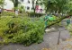 Alertă imediată de vânt puternic, cu aspect de furtună, în 6 județe. Vor fi rafale de 100 de km/oră 