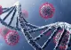 Concluzie după 3 ani de pandemie: Imunitatea dată de anumite gene determină COVID-19 asimptomatic la un sfert dintre cei infectați