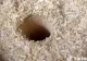 VIDEO – Experimentul inedit al unui român – A făcut o gaură în mijlocului unui butoi plin de rumeguș – La ce folosește