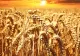 An de coșmar pentru fermieri: producții slabe și prețuri mici - Mulți agricultori români sunt în pierdere