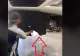 VIDEO – Mecanicul a deschis scutul mașinii și a rămas șocat. A luat-o la fugă afară din atelier