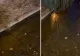 ANPC, semnal de alarmă pentru turiști: Pârâul care face legătura dintre Siutghiol şi Lacul Tăbăcăriei, un FOCAR DE INFECȚIE - VIDEO