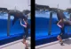 Un leu de mare care încerca să evadeze din bazin a căzut peste...îngrijitoarea sa. Ce a pățit femeia
