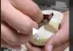 VIDEO – Părea un simplu ou, însă când i-a spart coajă a ieșit din el ceva extrem de periculos