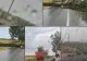 Furtună violentă cod roșu în județul Arad. IMAGINI DE COȘMAR la Ineu -  Acoperișuri smulse, copaci rupți- VIDEO