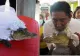 Un primar s-a însurat cu un crocodil. Cel mai dificil a fost momentul sărutului - VIDEO