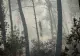 Cel puţin 500 de oameni au fost evacuați pe insula spaniolă La Palma, din cauza unui uriaș incendiu de vegetație