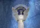3 zodii sunt ocrotite de Dumnezeu în această toamnă. Cele mai mari dorințe li se vor împlini - Află dacă ești și tu printre ele