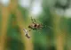 Doi soți au murit intoxicați după ce au dat cu spray de insecte în camera în care au dormit. Tragedie în Dolj