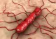 Alertă alimentară: LISTERIA face primele victime: 3 morți după ce au băut milkshake - Simptomele infecției bacteriene