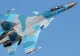 Un avion rusesc de luptă s-a prăbușit în Kaliningrad: Cei doi piloți NU au supraviețuit - Șoigu a anunțat cauza după imagini dramatice