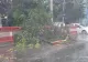 Vremea rea a făcut prăpăd în țară - Furtuna care a lovit cu puterea unei tornade, imagini șocante