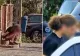 Cine este tânărul de 19 ani care a intrat cu mașina într-un grup de turiști, pe litoral - Era atât de drogat încât nici nu a știut că a provocat un accident