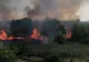 Incendiu de proporții în Delta Văcărești din București. Imagini dramatice, au intervenit pompierii - VIDEO