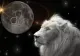 Momentul magic ce ne schimbă viața are loc pe 16 august 2023 - Luna Nouă în Leu face lumină în destine