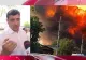 Simion se ia după Șoșoacă și încearcă să puncteze electoral: Vizită în trombă la locul exploziei din Crevedia
