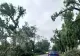 Circulație blocată de fenomene meteo extreme în județele Harghita și Mureș: Vijelii cu rafale de peste 90km/oră după caniculă