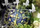 Horoscopul săptămânii 14-20 august 2023. Ce zodii vor fi ajutate de Chiron să își vindece rănile