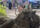 Incident foarte grav în Sectorul 3 al Capitalei: Un copac a căzut peste o persoană, dusă urgent la spital - Primăria dă vina pe Nicușor Dan