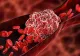 Cele mai importante vitamine pentru un sânge sănătos - Remediile simple care întăresc inima și au efect anticoagulant