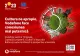 Vodafone este partener de conectivitate pentru Timișoara, Capitală Europeană a Culturii, și mândru susținător al expoziției Brâncuși: surse românești și perspective universale