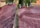 Incident incredibil în Portugalia: Un oraș a fost inundat de vin roșu - Momentul în care peste 2 milioane de litri se revarsă pe străzi - VIDEO