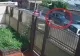 Filmul accidentului din Popești Leordeni, în care o femeie și-a pierdut viața chiar de ziua ei. Cum s-a produs nenorocirea - Declarațiile șocante ale martorilor