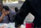 Gestul care le-a salvat viața. Ce a făcut o mamă pentru fiul ei când s-au trezit cu un urs pe masă - VIDEO
