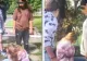 Adolescentă de 11 ani, bătută cu sălbăticie în curtea unui liceu de alte două fete, de 12 ani. NIMENI nu a intervenit - VIDEO